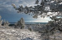 194 - FIRST SNOW - TOLONEN KARI - finland <div